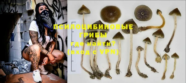 герыч Алексин