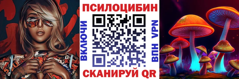 Галлюциногенные грибы Psilocybine cubensis Кизел